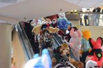 DSC_0678.JPG